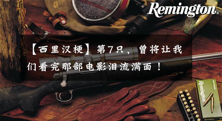 【西里汉梗】第7只,曾将让我们看完那部电影泪流满面!