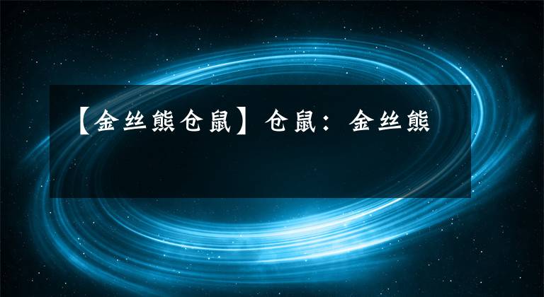 【金丝熊仓鼠】仓鼠:金丝熊