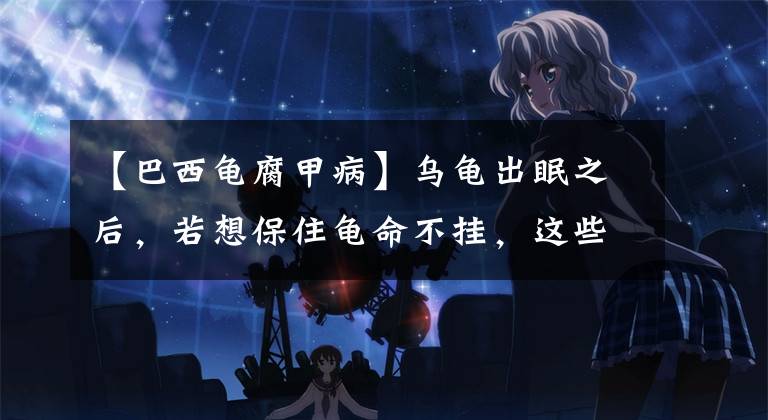 【巴西龟腐甲病】乌龟出眠之后,若想保住龟命不挂,这些事一定要做