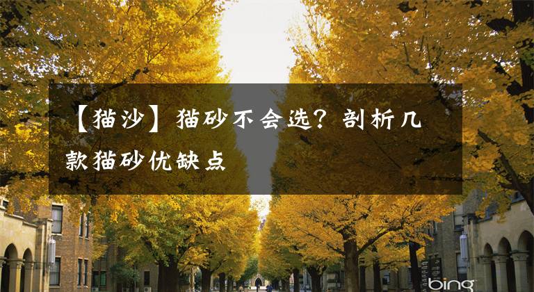 【猫沙】猫砂不会选？剖析几款猫砂优缺点