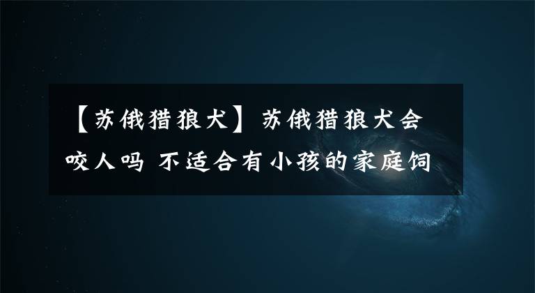 【苏俄猎狼犬】苏俄猎狼犬会咬人吗 不适合有小孩的家庭饲养