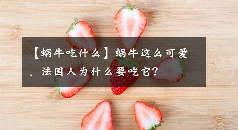 【蜗牛吃什么】蜗牛这么可爱,法国人为什么要吃它?