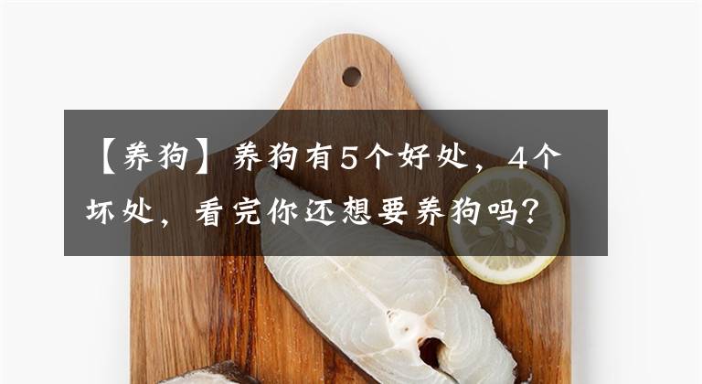 【养狗】养狗有5个好处，4个坏处，看完你还想要养狗吗？