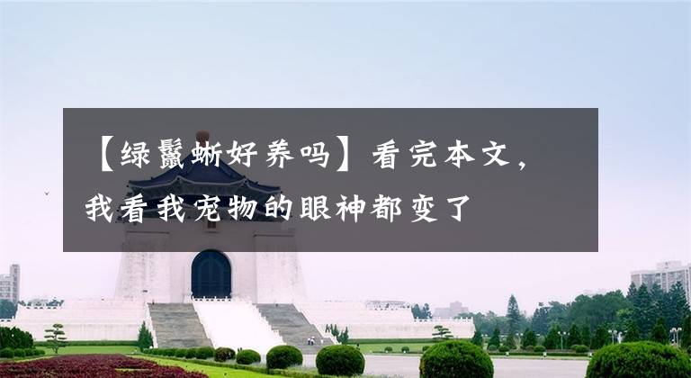 【绿鬣蜥好养吗】看完本文，我看我宠物的眼神都变了