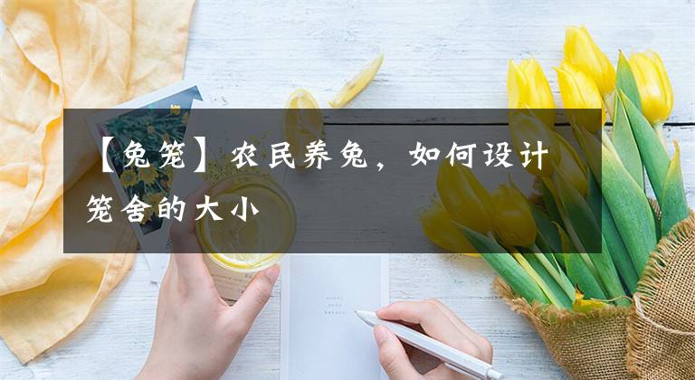 【兔笼】农民养兔，如何设计笼舍的大小