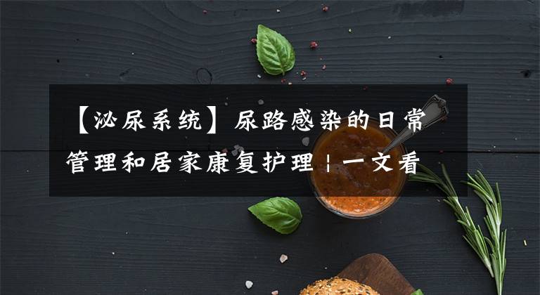 【泌尿系统】尿路感染的日常管理和居家康复护理 | 一文看全