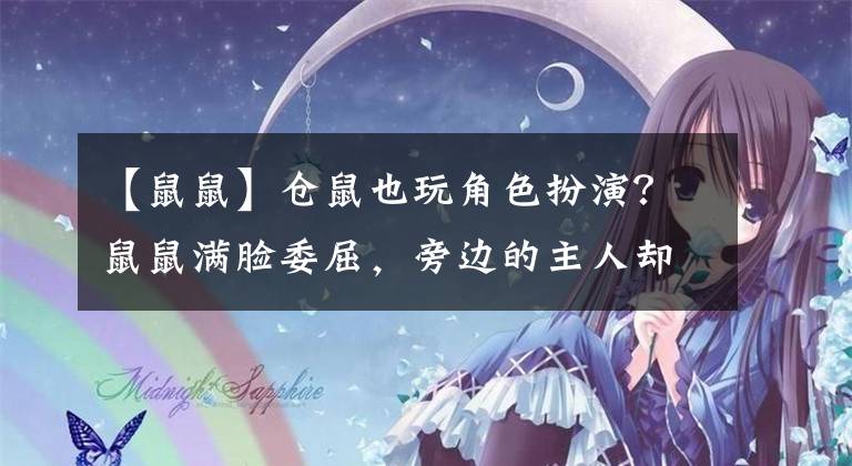 【鼠鼠】仓鼠也玩角色扮演？鼠鼠满脸委屈，旁边的主人却乐了