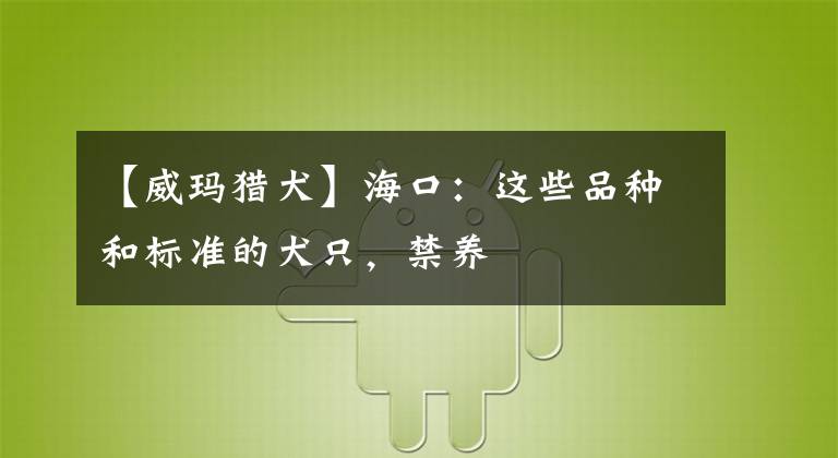 【威玛猎犬】海口：这些品种和标准的犬只，禁养