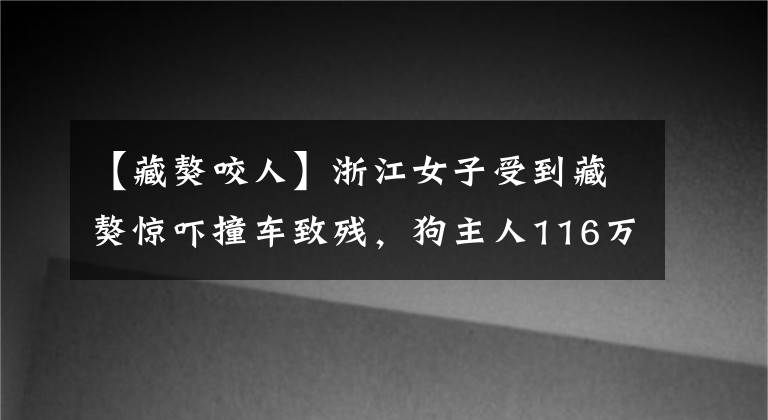 【藏獒咬人】浙江女子受到藏獒惊吓撞车致残,狗主人116万元赔偿尚未完结
