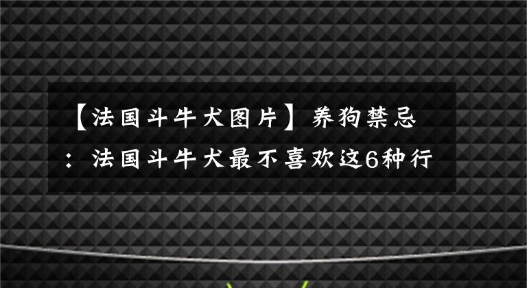 【法国斗牛犬图片】养狗禁忌：法国斗牛犬最不喜欢这6种行为，快来避雷