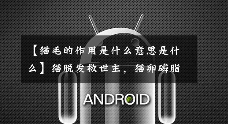 【猫毛的作用是什么意思是什么】猫脱发救世主,猫卵磷脂那么神奇