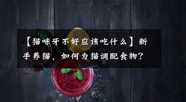 【猫咪牙不好应该吃什么】新手养猫,如何为猫调配食物?