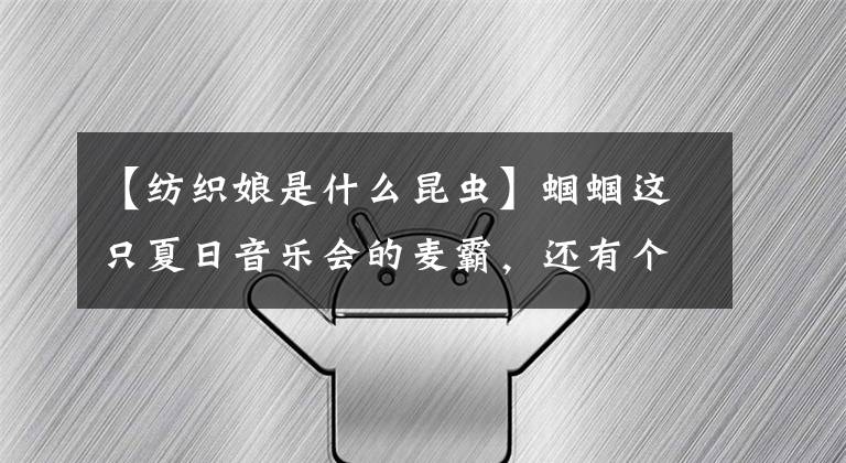 【纺织娘是什么昆虫】蝈蝈这只夏日音乐会的麦霸，还有个响亮又文雅的名字