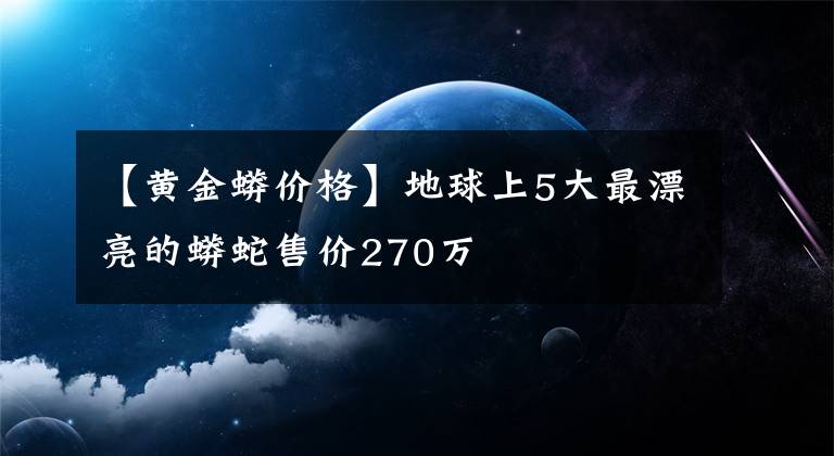 【黄金蟒价格】地球上5大最漂亮的蟒蛇售价270万