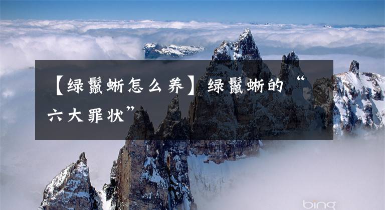 【绿鬣蜥怎么养】绿鬣蜥的“六大罪状”