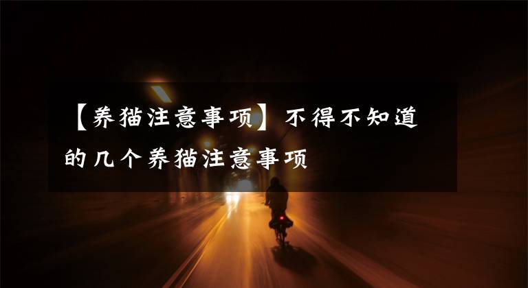 【养猫注意事项】不得不知道的几个养猫注意事项