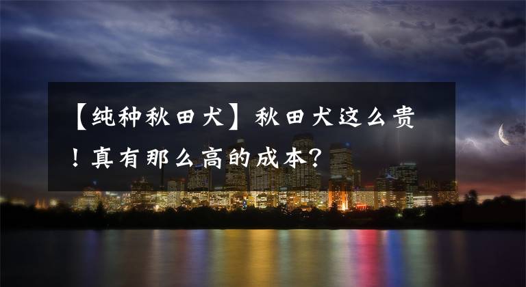【纯种秋田犬】秋田犬这么贵！真有那么高的成本？