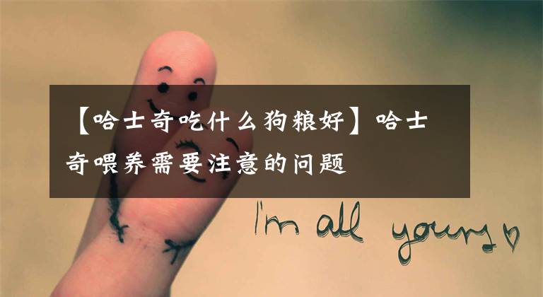 【哈士奇吃什么狗粮好】哈士奇喂养需要注意的问题