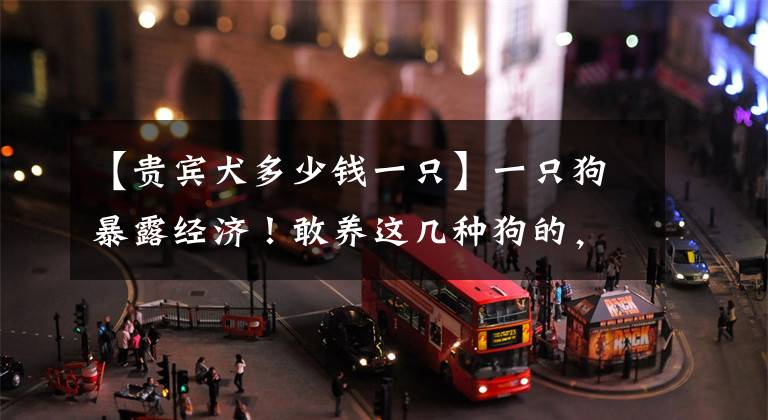 【贵宾犬多少钱一只】一只狗暴露经济！敢养这几种狗的，家里得多富裕