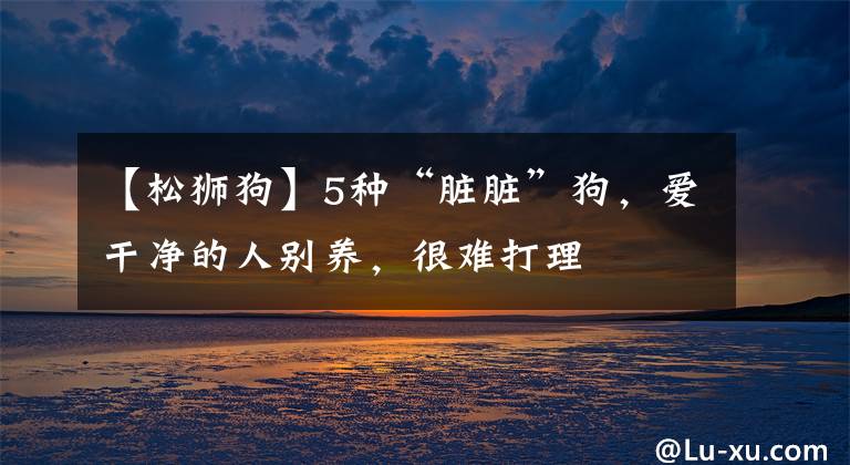 【松狮狗】5种“脏脏”狗，爱干净的人别养，很难打理