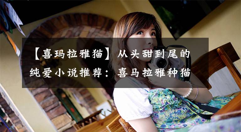 【喜玛拉雅猫】从头甜到尾的纯爱小说推荐:喜马拉雅种猫出品,书荒必看