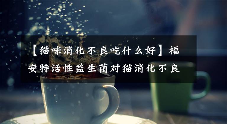 【猫咪消化不良吃什么好】福安特活性益生菌对猫消化不良怎么办？