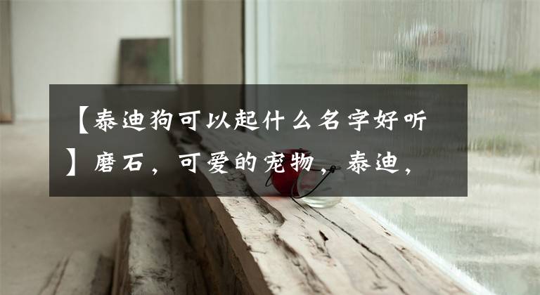 【泰迪狗可以起什么名字好听】磨石,可爱的宠物,泰迪,狗的名字,小粘人-可爱的一点。