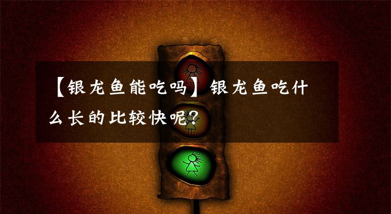 【银龙鱼能吃吗】银龙鱼吃什么长的比较快呢？