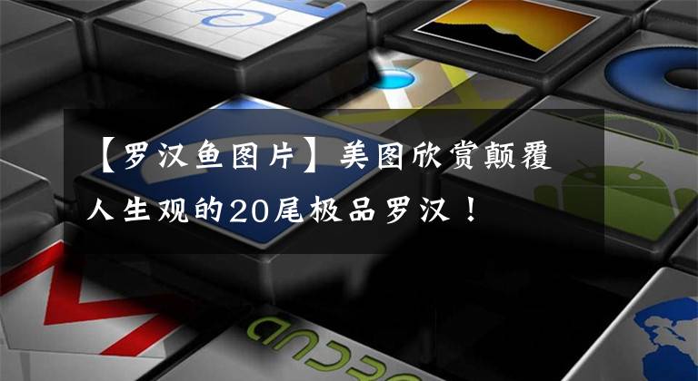 【罗汉鱼图片】美图欣赏颠覆人生观的20尾极品罗汉！