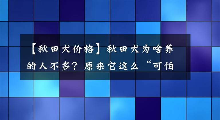 【秋田犬价格】秋田犬为啥养的人不多?原来它这么“可怕”
