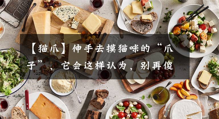 【猫爪】伸手去摸猫咪的“爪子”，它会这样认为，别再傻傻分不清楚