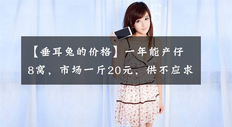 【垂耳兔的价格】一年能产仔8窝,市场一斤20元,供不应求,敢养的却不多