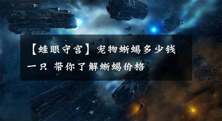 【蛙眼守宫】宠物蜥蜴多少钱一只 带你了解蜥蜴价格