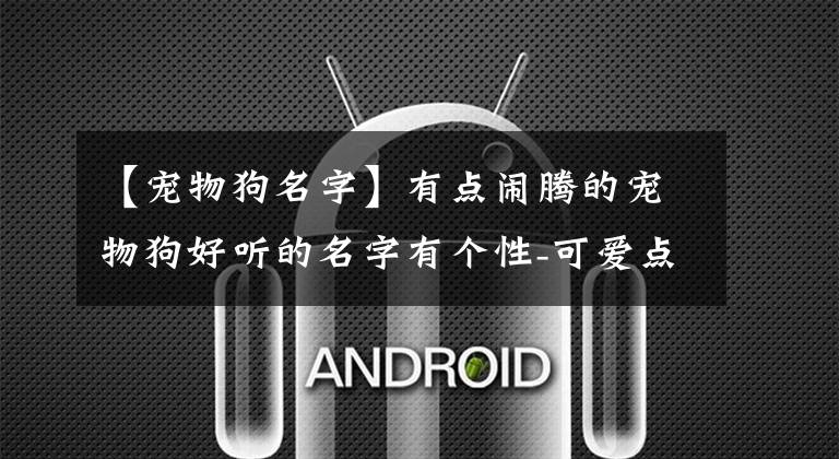 【宠物狗名字】有点闹腾的宠物狗好听的名字有个性-可爱点