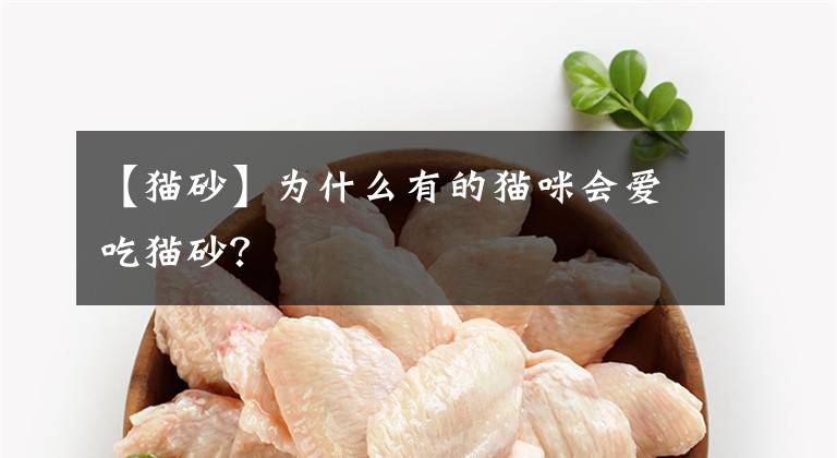 【猫砂】为什么有的猫咪会爱吃猫砂?