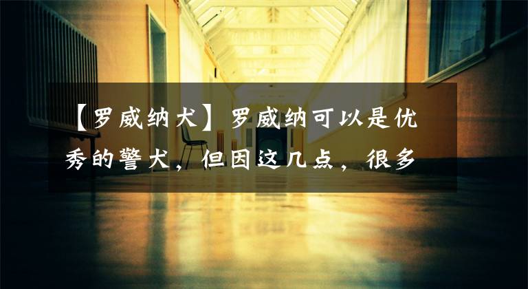 【罗威纳犬】罗威纳可以是优秀的警犬，但因这几点，很多人都不太敢养