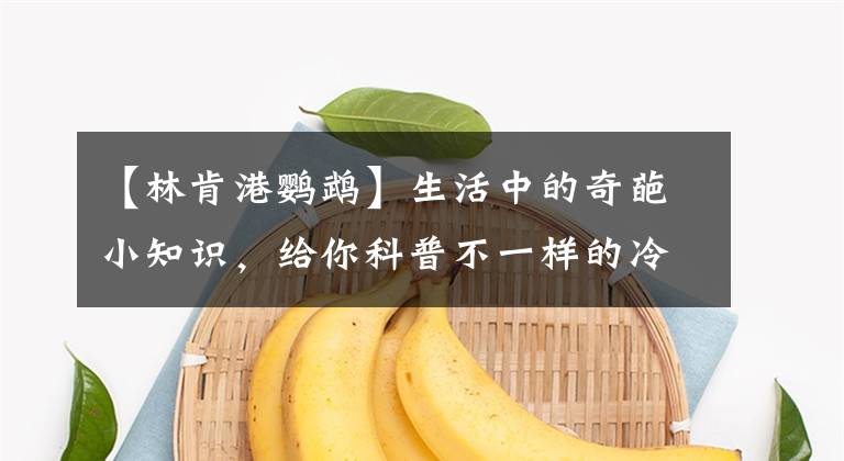 【林肯港鹦鹉】生活中的奇葩小知识,给你科普不一样的冷知识