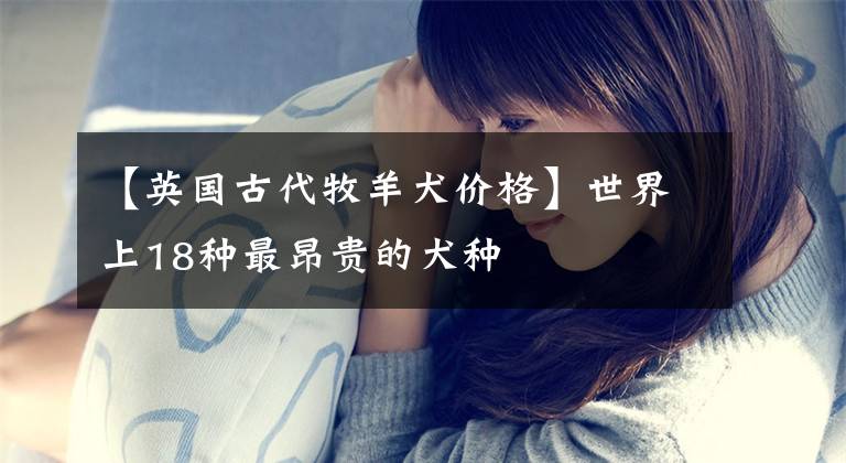 【英国古代牧羊犬价格】世界上18种最昂贵的犬种