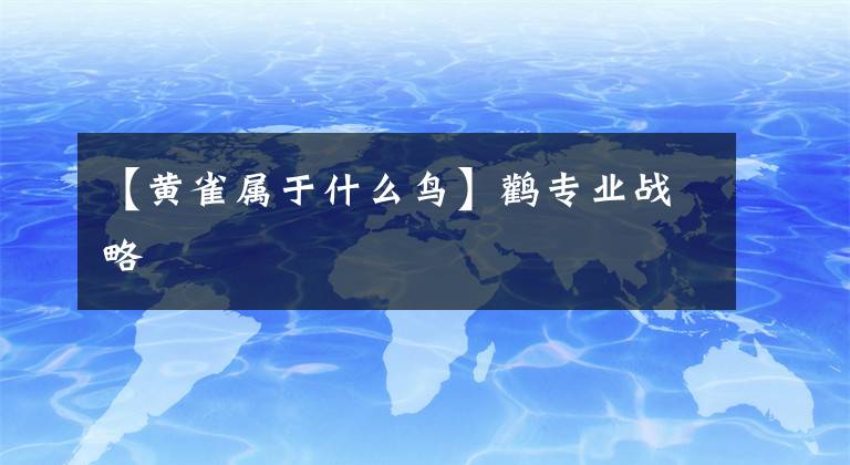 【黄雀属于什么鸟】鹳专业战略