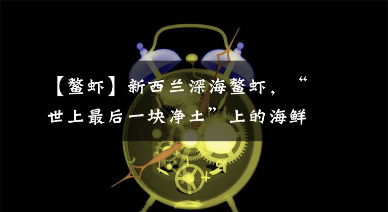 【鳌虾】新西兰深海鳌虾，“世上最后一块净土”上的海鲜珍品