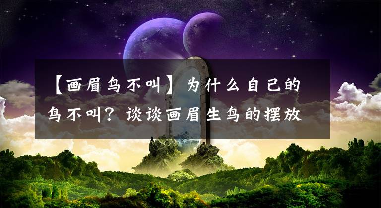 【画眉鸟不叫】为什么自己的鸟不叫?谈谈画眉生鸟的摆放!