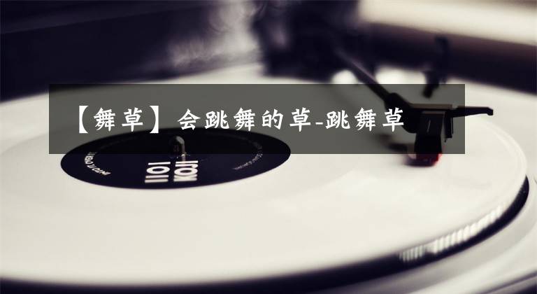 【舞草】会跳舞的草-跳舞草