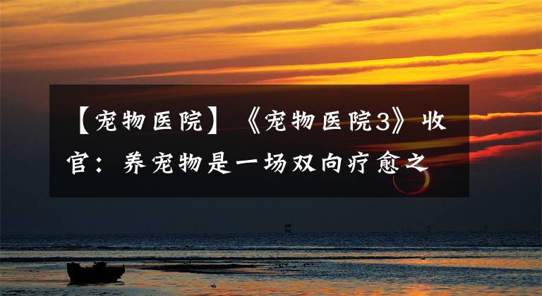 【宠物医院】《宠物医院3》收官:养宠物是一场双向疗愈之旅