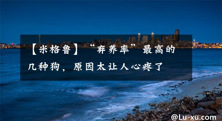 【米格鲁】“弃养率”最高的几种狗，原因太让人心疼了