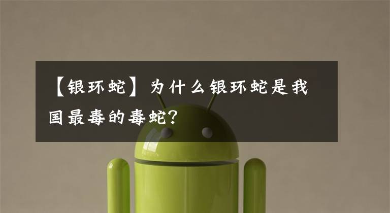 【银环蛇】为什么银环蛇是我国最毒的毒蛇？