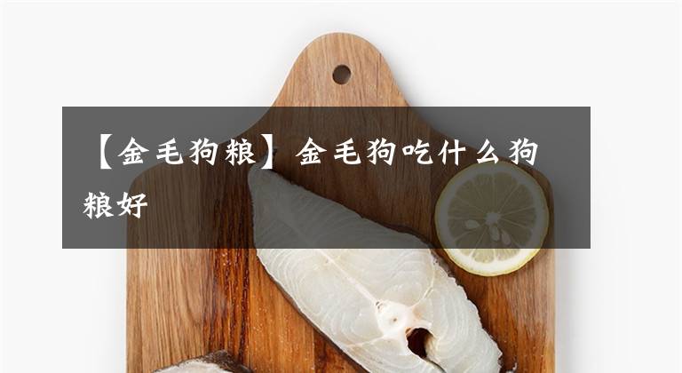 【金毛狗粮】金毛狗吃什么狗粮好