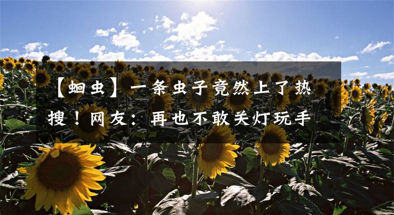 【蛔虫】一条虫子竟然上了热搜！网友：再也不敢关灯玩手机了