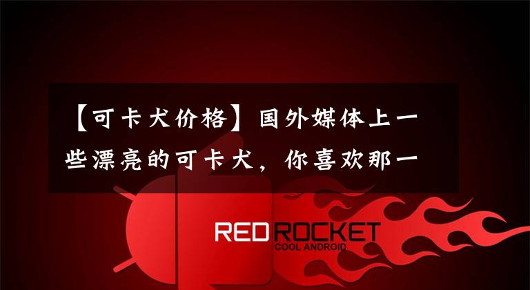 【可卡犬价格】国外媒体上一些漂亮的可卡犬,你喜欢那一只?