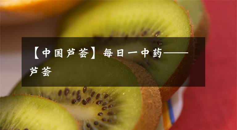 【中国芦荟】每日一中药——芦荟