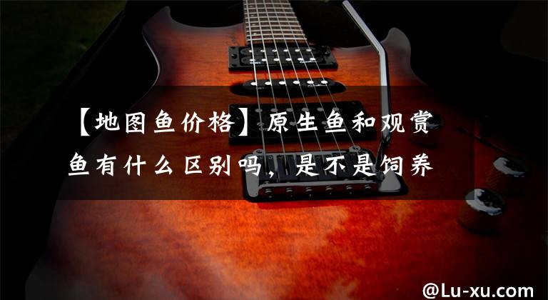 【地图鱼价格】原生鱼和观赏鱼有什么区别吗,是不是饲养原生鱼破坏生态呢?